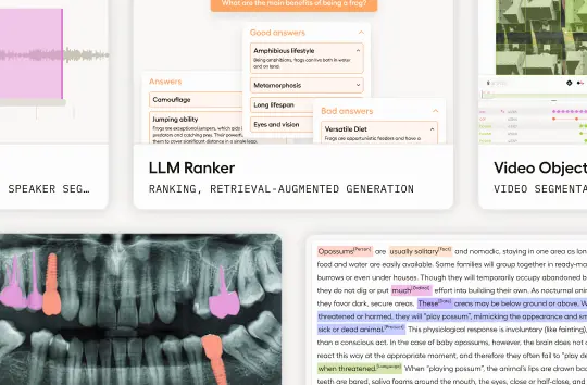 Labelstudio dashboard